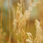 TCW28/EOORO REC Kierrätys T/C 85/15 3/1 twill 280 g/m² HV Värivärjätty